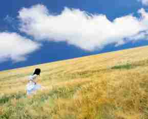 专​业​seo框‌架​教​程‍下‍载‍